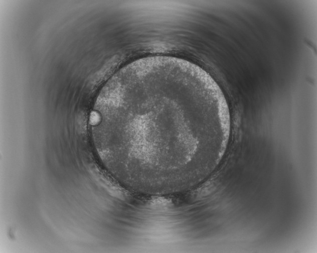 X0000103950257200810171845