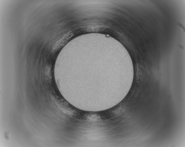 X0000103950258200810171845