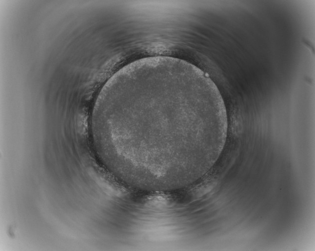 X0000103950259200810171845