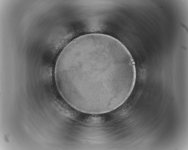 X0000103950260200810171845