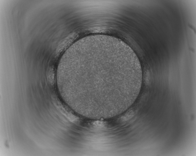 X0000103950261200810171845