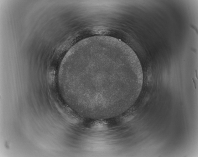 X0000103950263200810171845