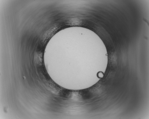 X0000103950264200810171845