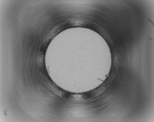 X0000103950265200810171845
