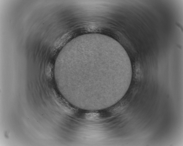 X0000103950266200810171845