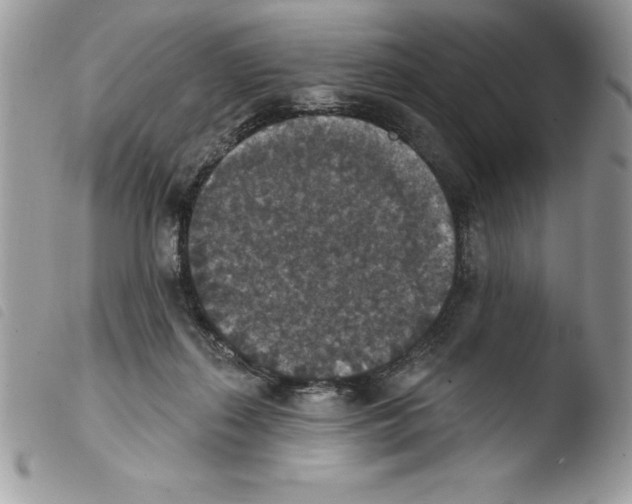 X0000103950267200810171845