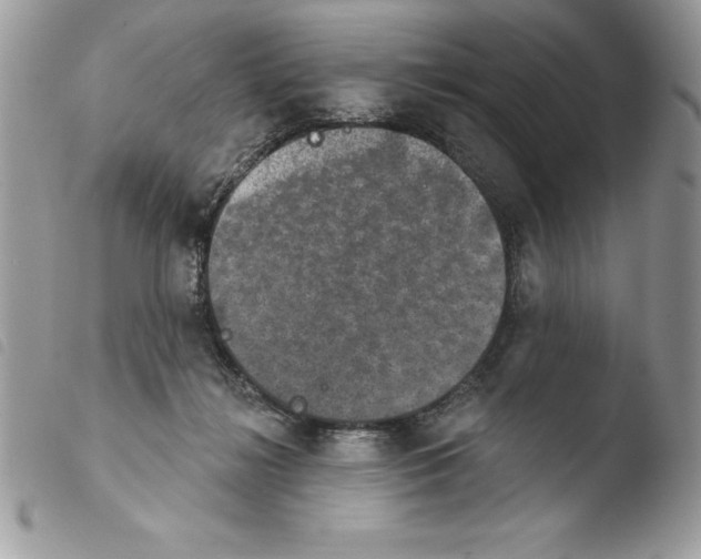 X0000103950268200810171846