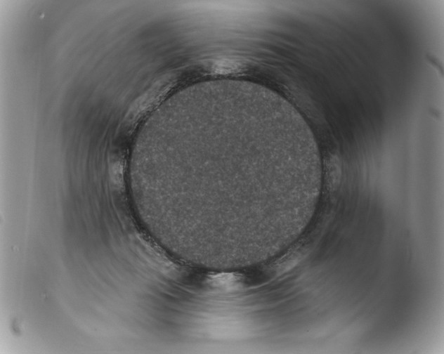 X0000103950269200810171846