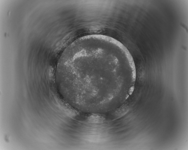 X0000103950270200810171846