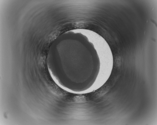 X0000103950271200810171846