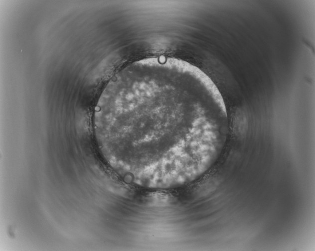 X0000103950272200810171846