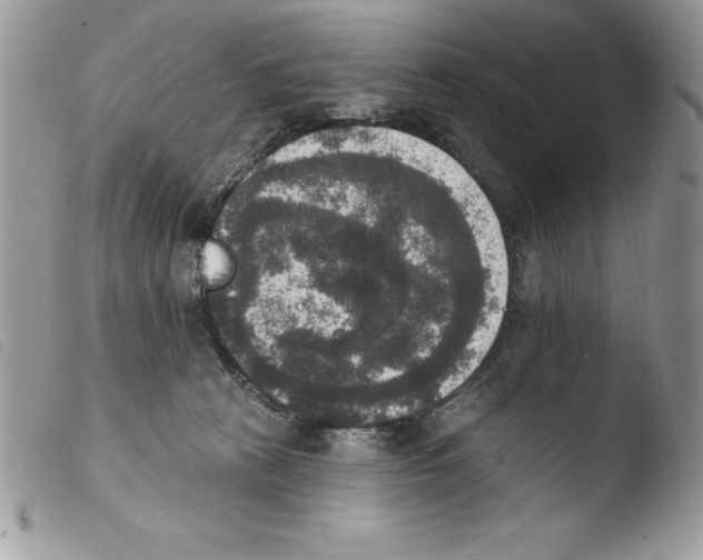 X0000103950273200810171846