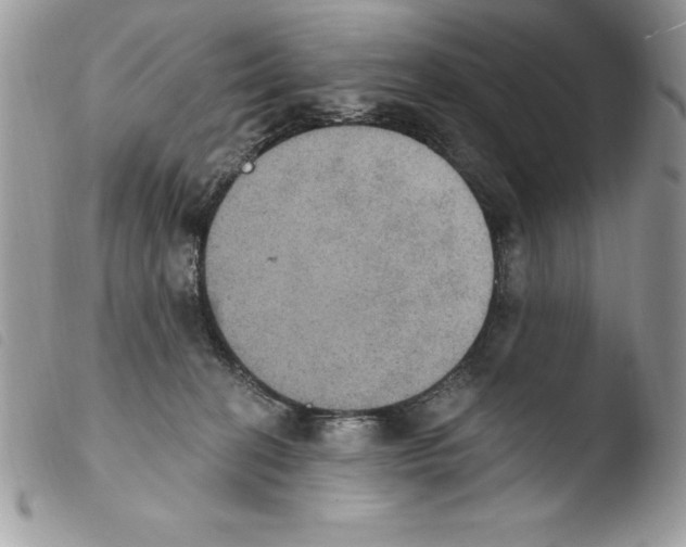 X0000103950274200810171846