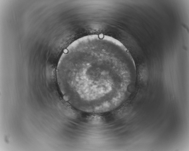 X0000103950276200810171846