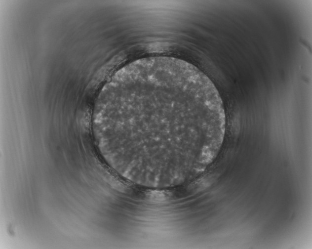 X0000103950277200810171846