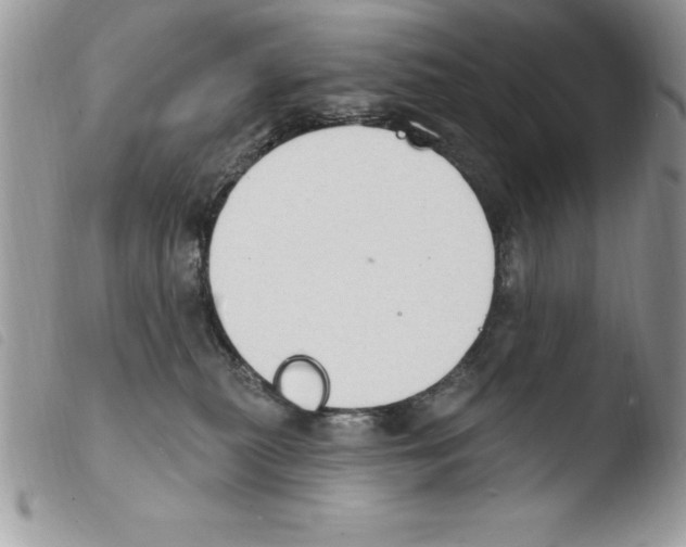X0000103950279200810171846
