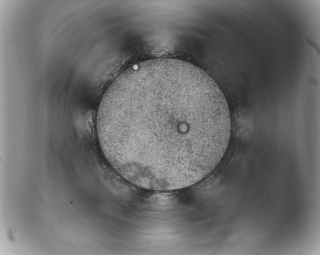 X0000103950280200810171846