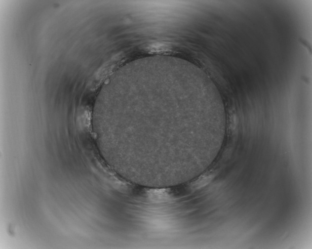X0000103950281200810171846