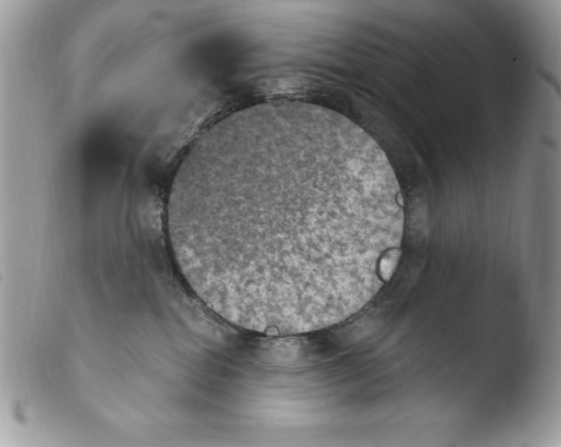X0000103950282200810171846