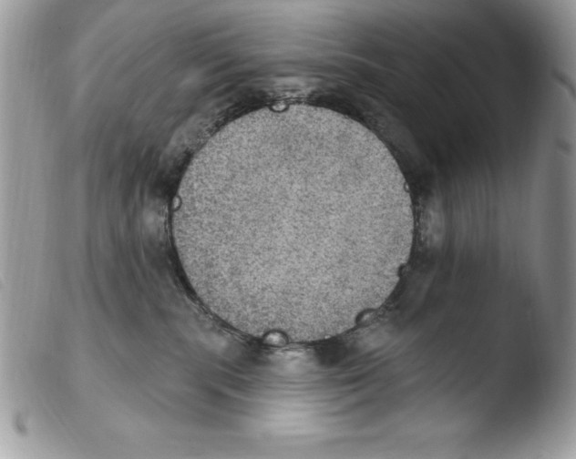 X0000103950283200810171846