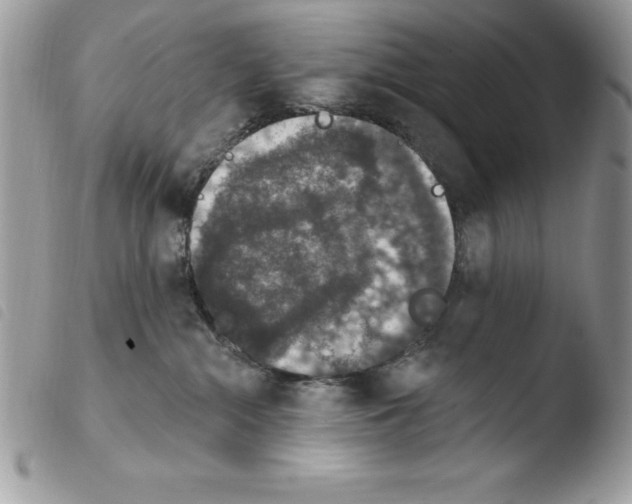X0000103950284200810171846