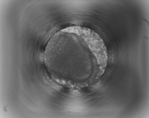 X0000103950285200810171846