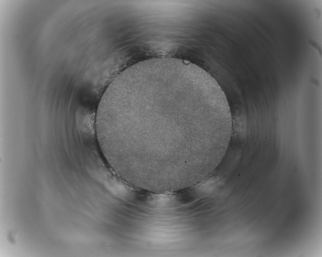 X0000103950286200810171846