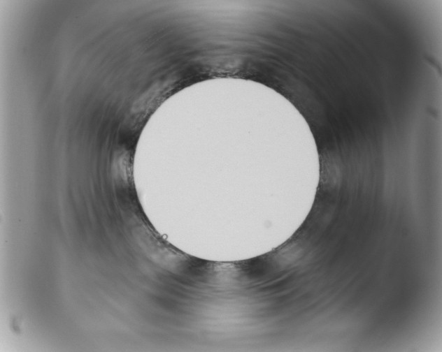 X0000103950287200810171846
