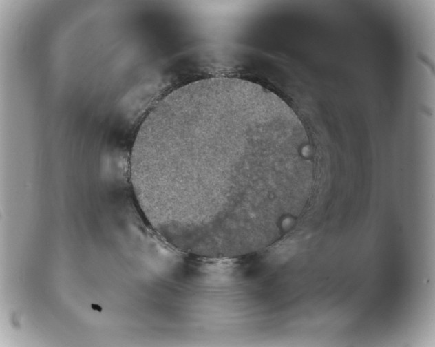 X0000103950288200810171846