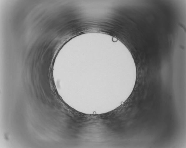 X0000103950289200810171845