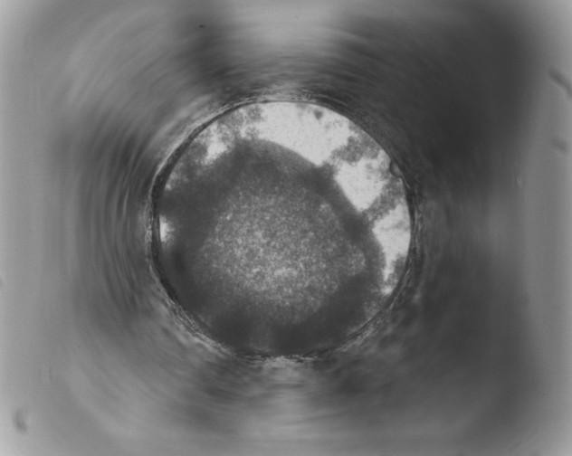 X0000103950290200810171845