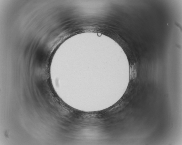 X0000103950291200810171845