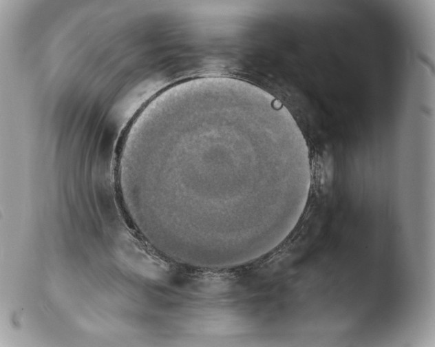 X0000103950292200810171845