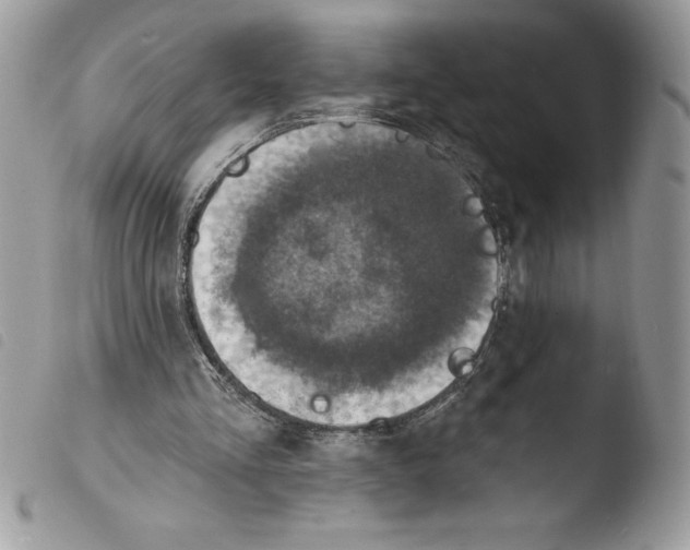 X0000103950293200810171845