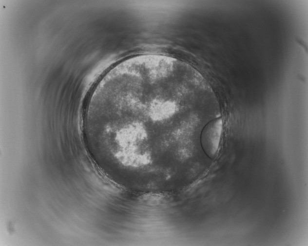 X0000103950294200810171845