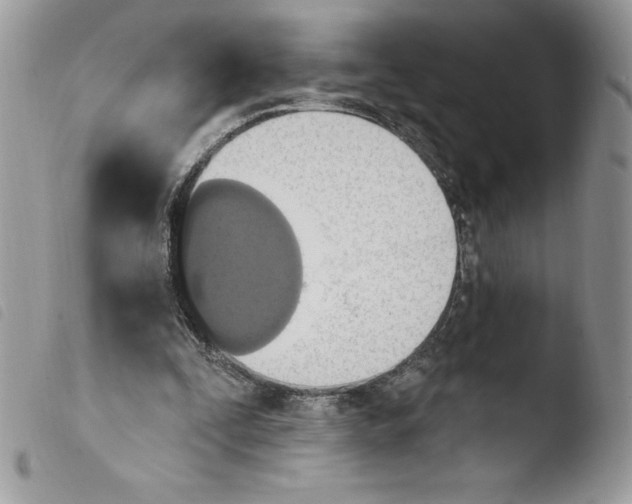 X0000103950295200810171845