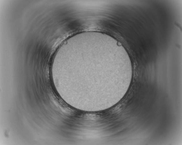 X0000103950298200810171845