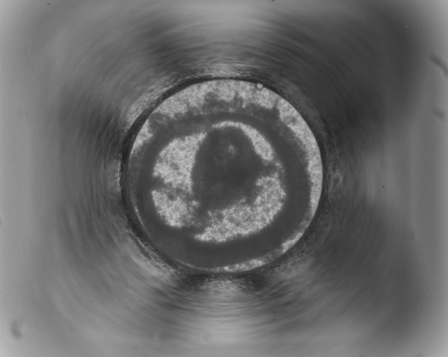 X0000103950299200810171845