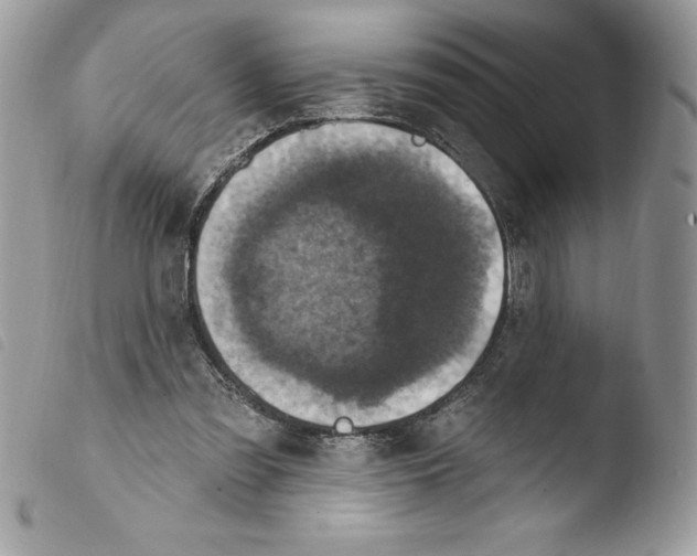 X0000103950301200810171845