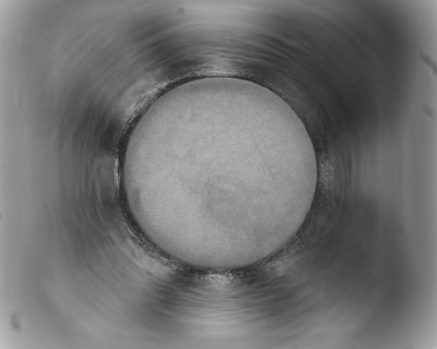 X0000103950302200810171845