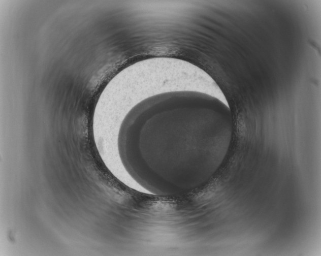 X0000103950303200810171845