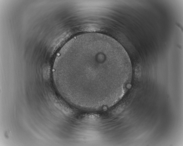 X0000103950304200810171845