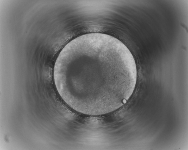 X0000103950305200810171845