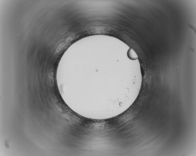 X0000103950306200810171845