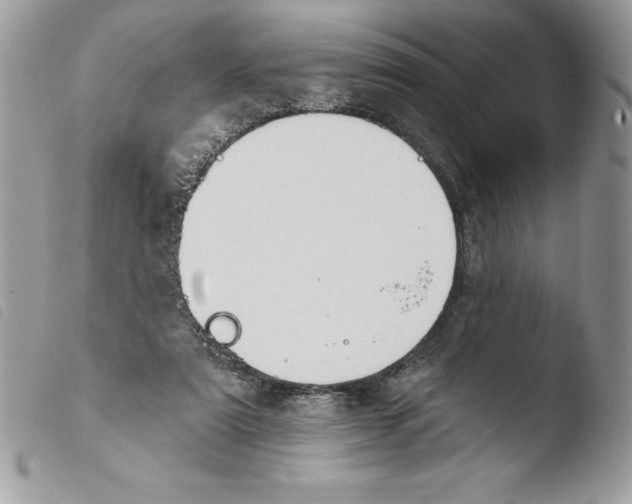 X0000103950307200810171845