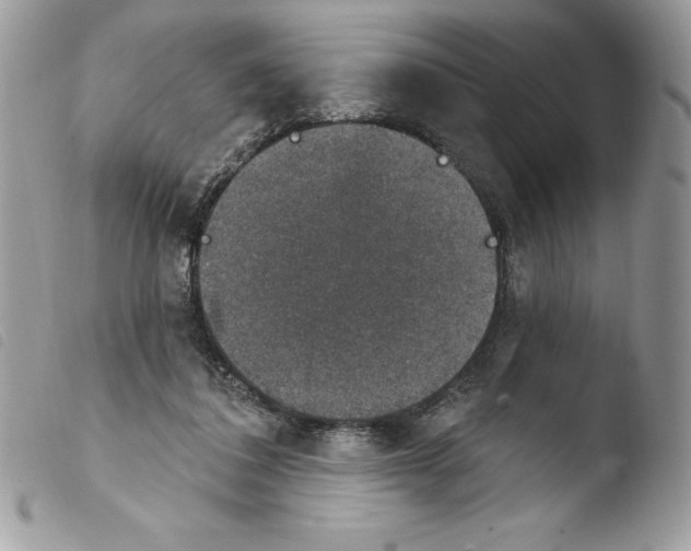 X0000103950308200810171845