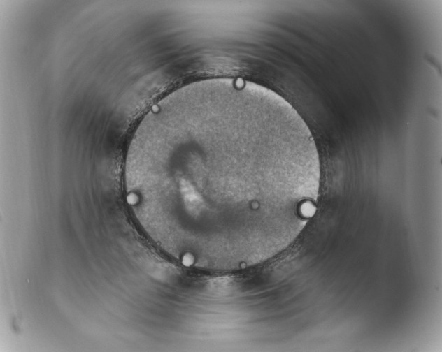 X0000103950309200810171845