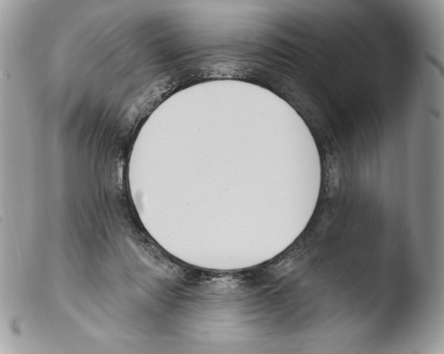 X0000103950310200810171845