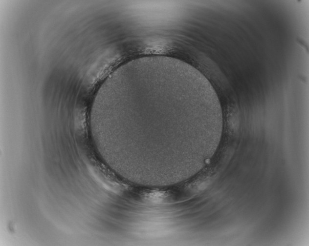 X0000103950312200810171845