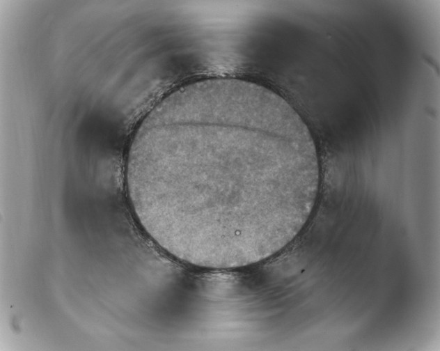 X0000103950313200810171845